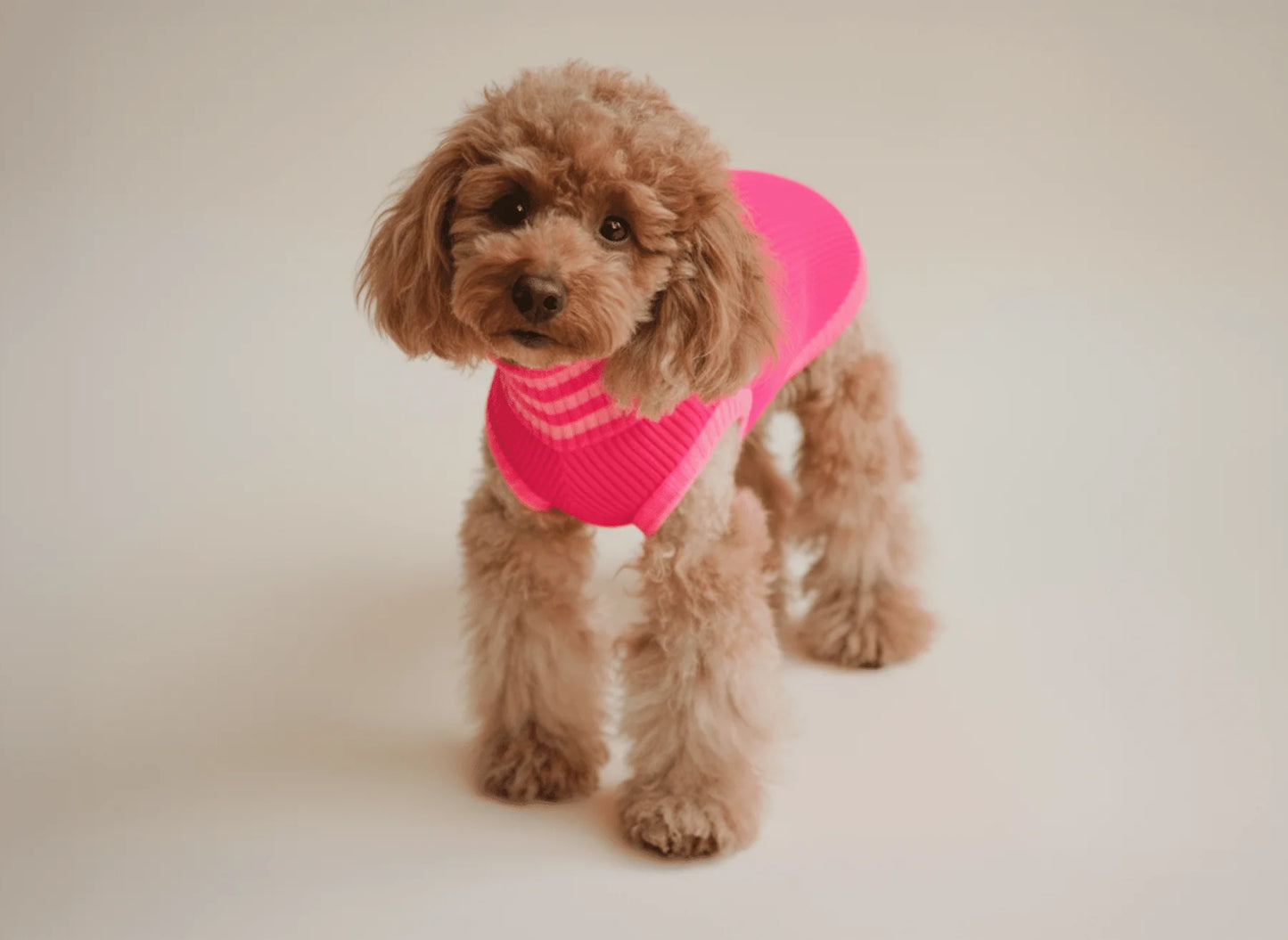 Glow Jumper 2.0 Neon Hundepullover – Pink Parade (Pink/Rosa)