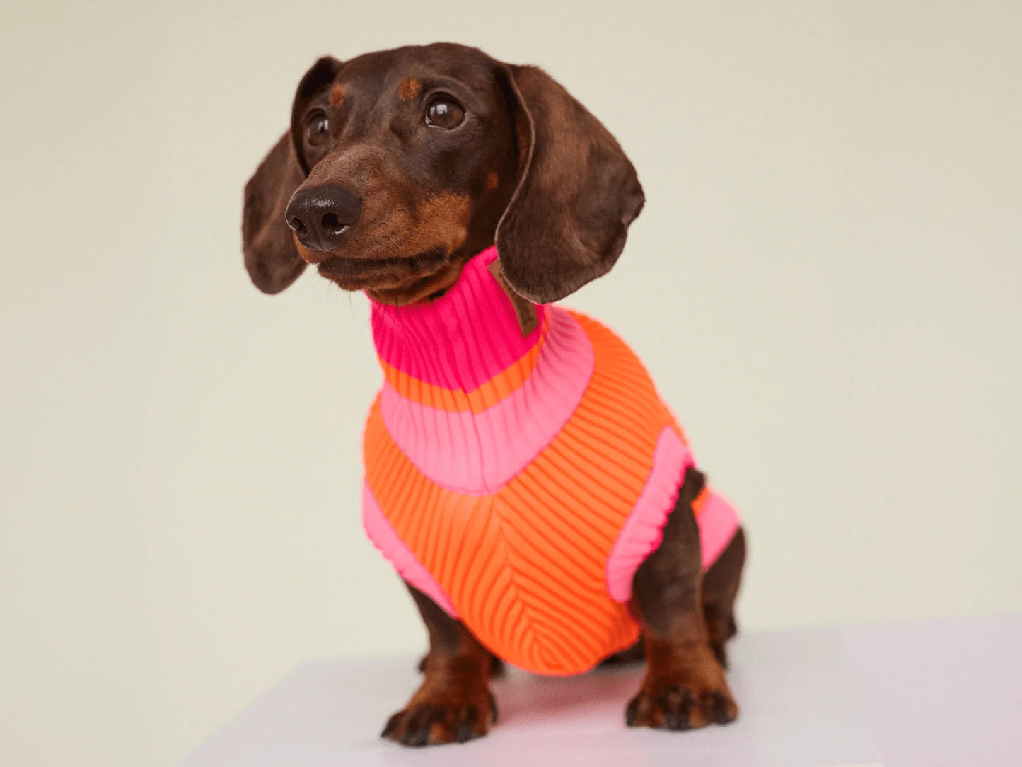 Glow Jumper 2.0 Neon Hundepullover – Sunny Tangerine (Pink/Orange)
