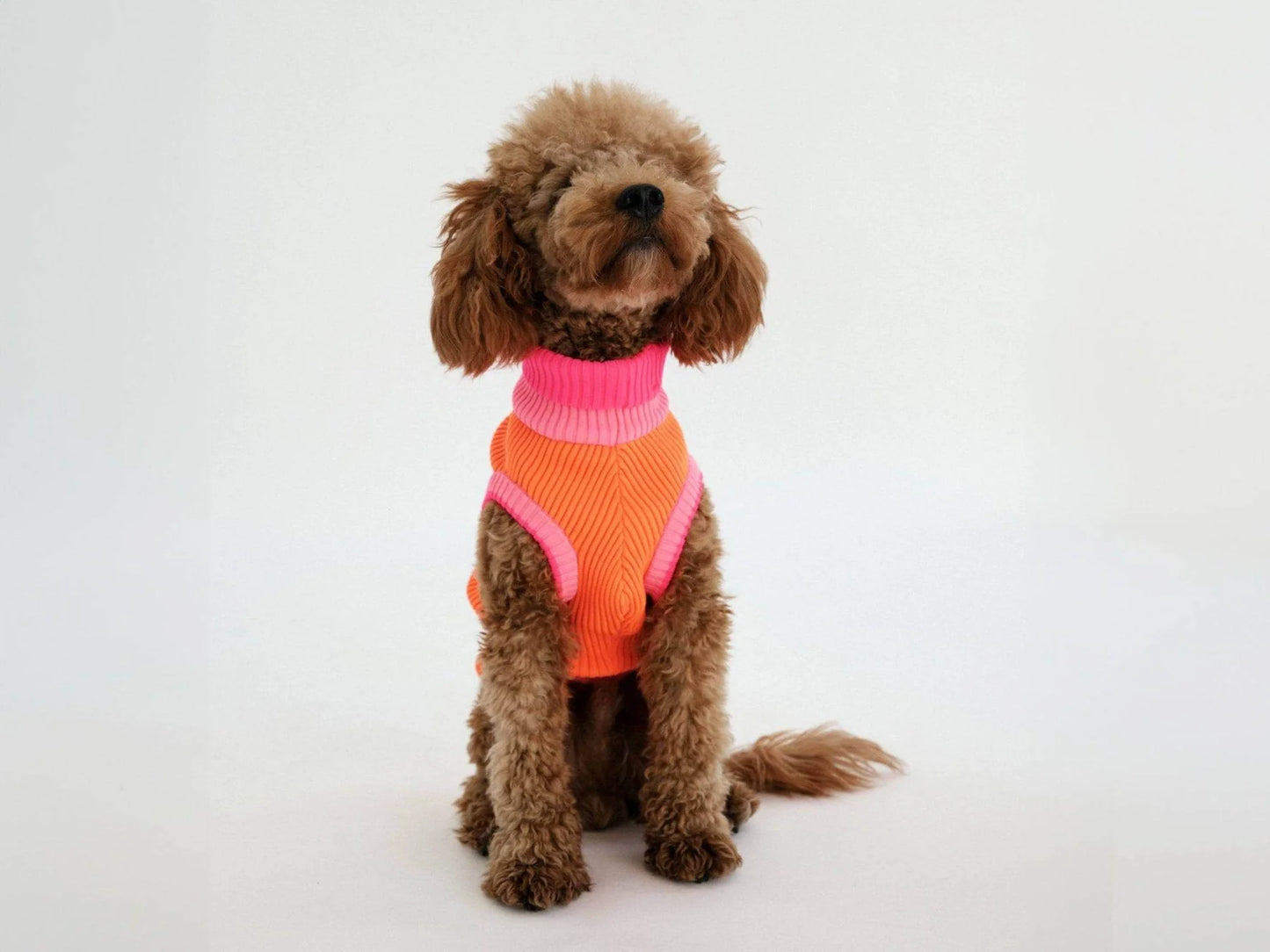 Glow Jumper 2.0 Neon Hundepullover – Sunny Tangerine (Pink/Orange)