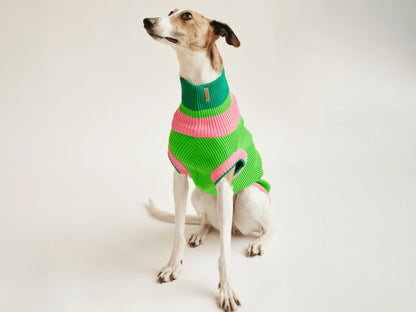 Glow Jumper 2.0 Neon Hundepullover – Watermelon Crush (Pink/Grün)