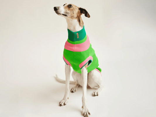 Glow Jumper 2.0 Neon Hundepullover – Watermelon Crush (Pink/Grün)