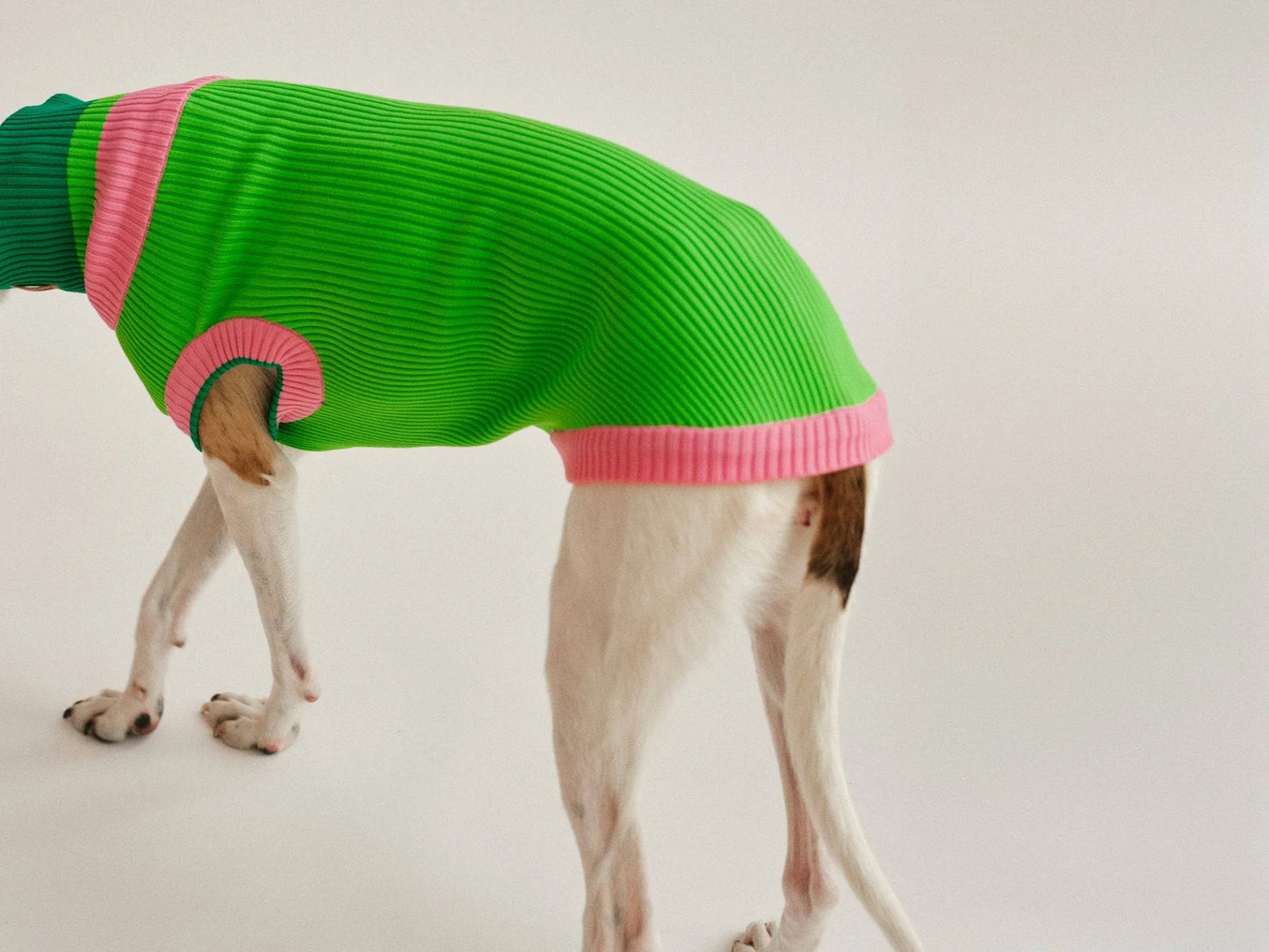 Glow Jumper 2.0 Neon Hundepullover – Watermelon Crush (Pink/Grün)