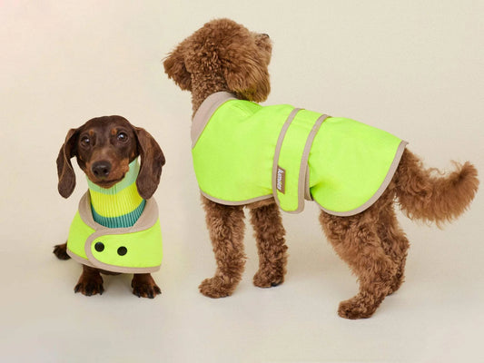 Glow Raincoat Mini-Fit Neon Hunderegenmantel – Neongelb