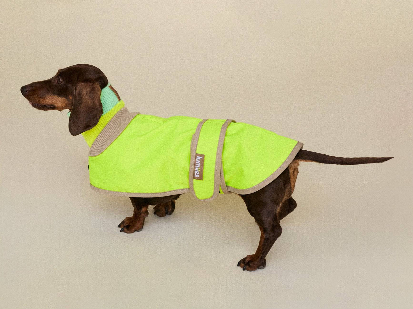 Glow Raincoat Mini-Fit Neon Hunderegenmantel – Neongelb