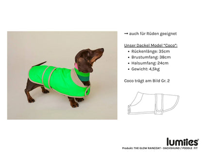Glow Raincoat Mini-Fit Neon Hunderegenmantel – Neongelb