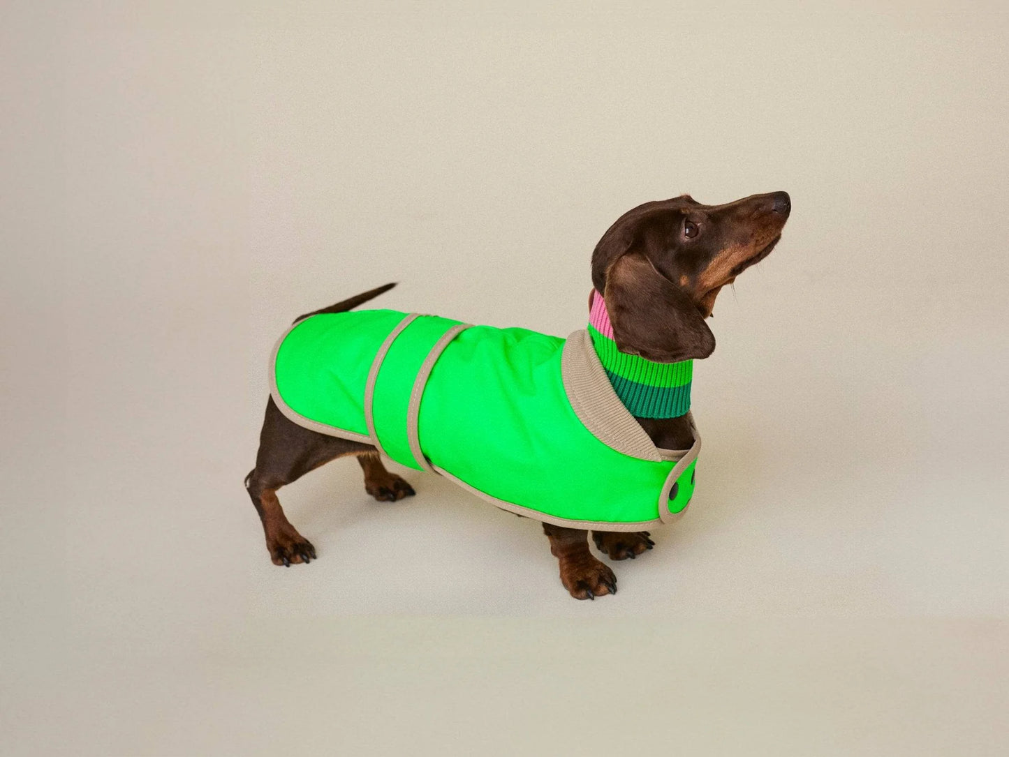 Glow Raincoat Mini-Fit Neon Hunderegenmantel – Neongrün