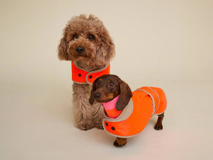 Glow Raincoat Mini-Fit Neon Hunderegenmantel – Neonorange