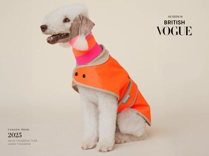 Glow Raincoat Mini-Fit Neon Hunderegenmantel – Neonorange