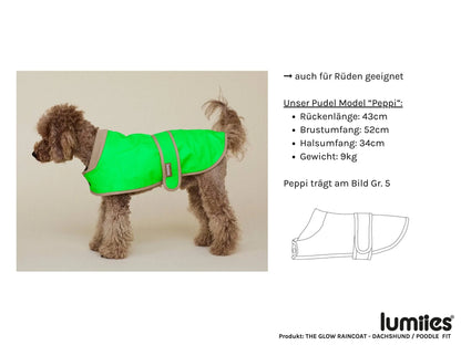 Glow Raincoat Mini-Fit Neon Hunderegenmantel – Neonorange