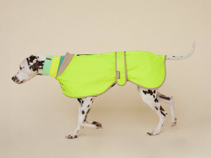 Glow Raincoat Regular-Fit Neon Hunderegenmantel – Neongelb