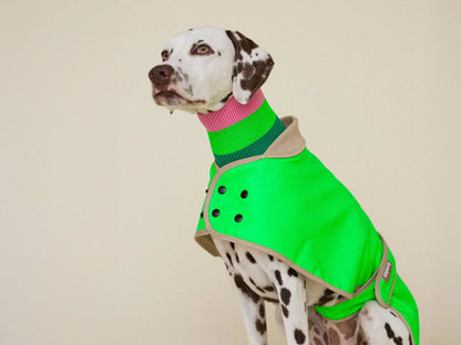 Glow Raincoat Regular-Fit Neon Hunderegenmantel – Neongrün