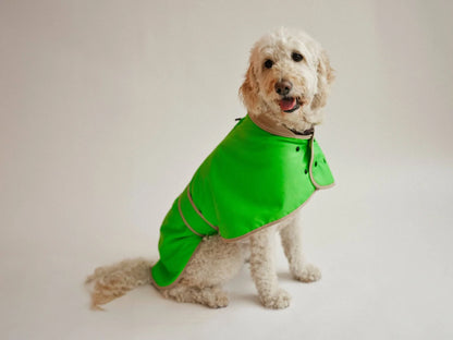 Glow Raincoat Regular-Fit Neon Hunderegenmantel – Neongrün