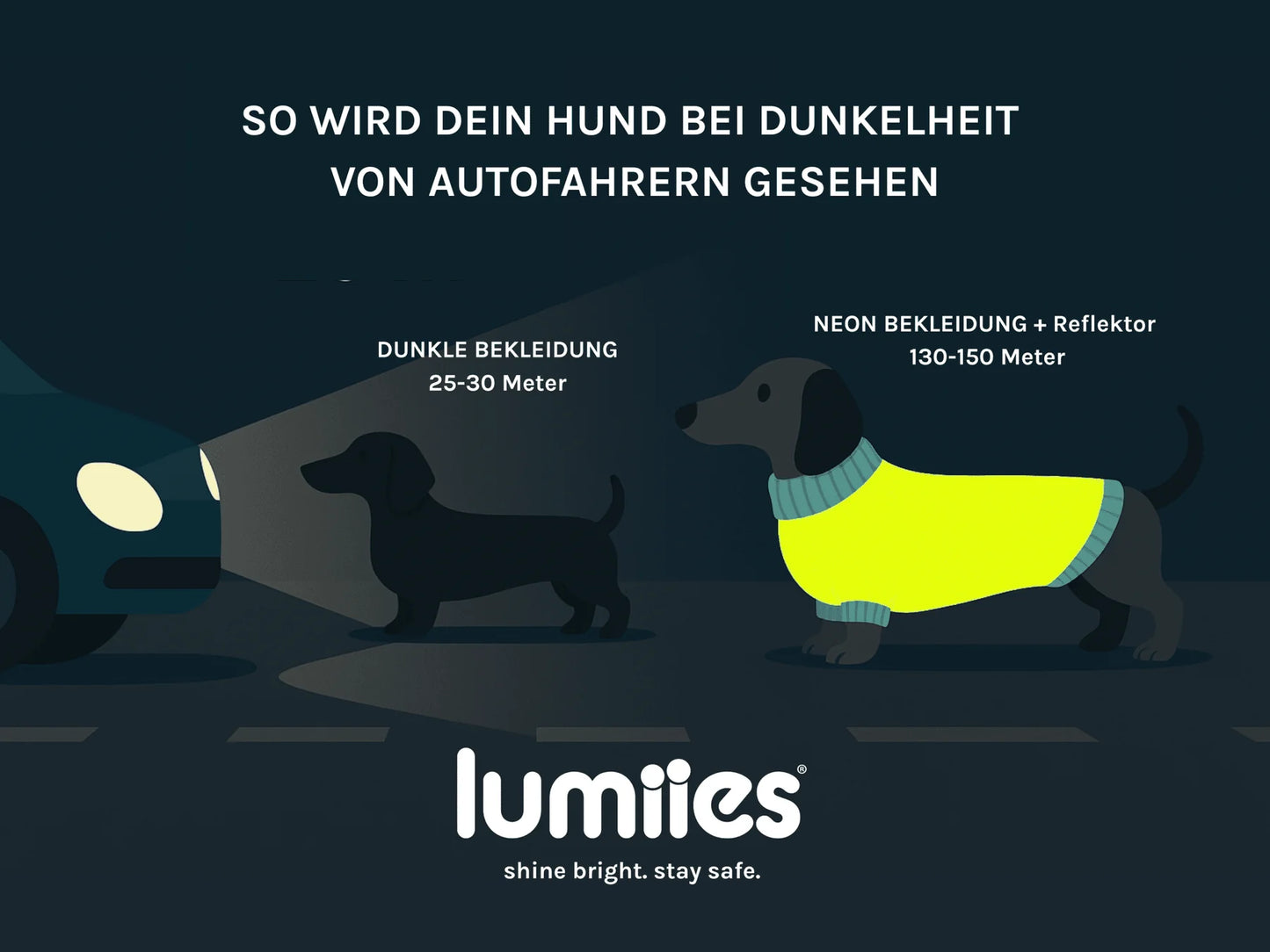 Glow Raincoat Regular-Fit Neon Hunderegenmantel – Neongrün