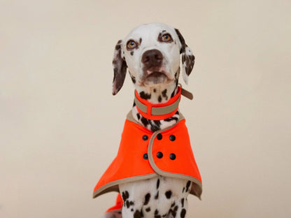 Glow Raincoat Regular-Fit Neon Hunderegenmantel – Neonorange