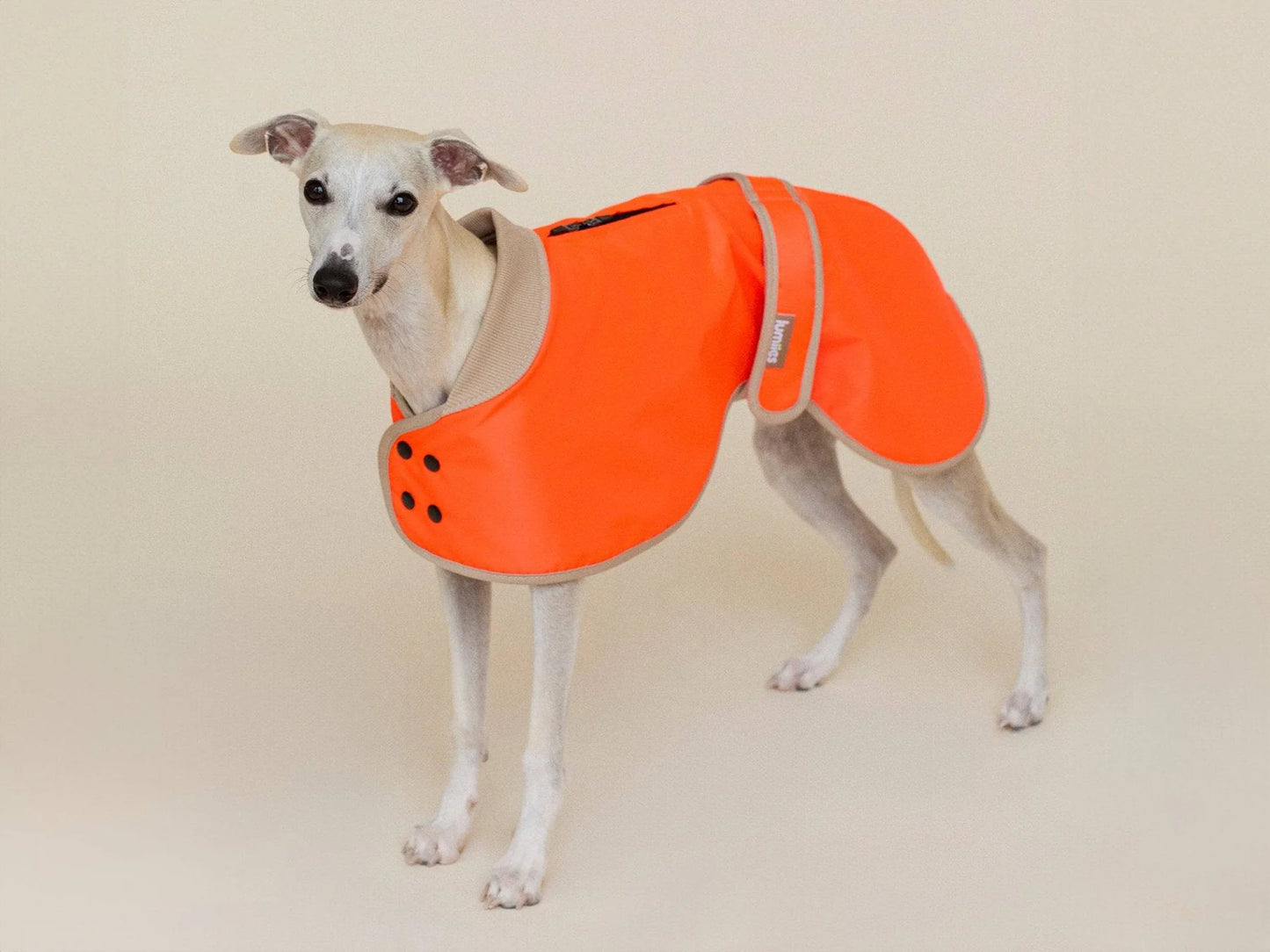 Glow Raincoat Regular-Fit Neon Hunderegenmantel – Neonorange