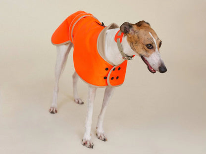 Glow Raincoat Regular-Fit Neon Hunderegenmantel – Neonorange