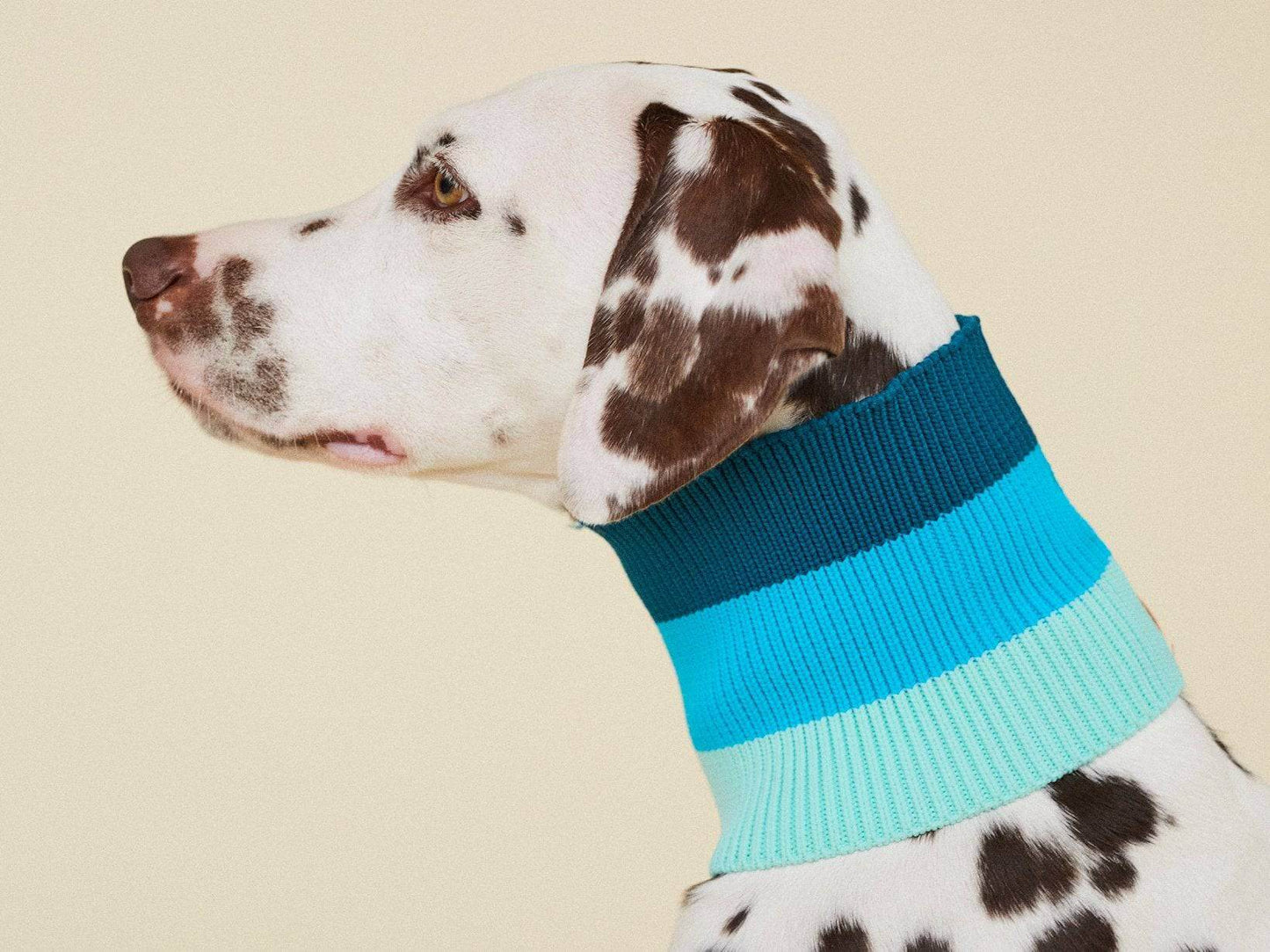 Glow Loop Neon Hundeschal – Crystal Sky (Blau/Hellblau)