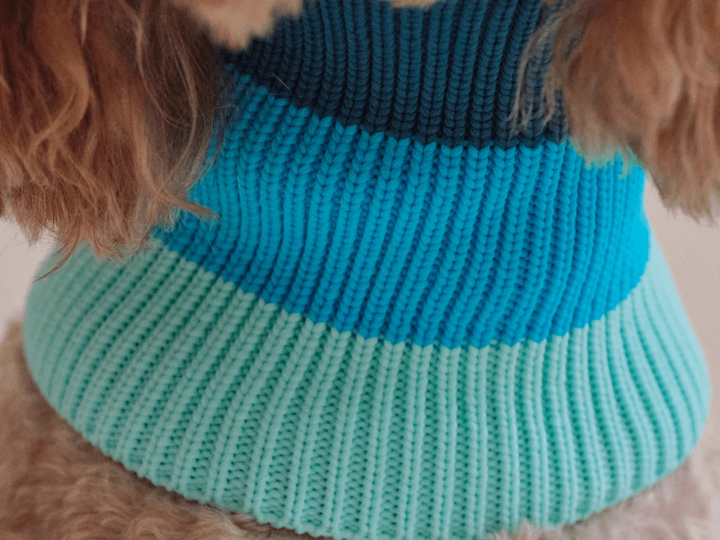 Glow Loop Neon Hundeschal – Crystal Sky (Blau/Hellblau)