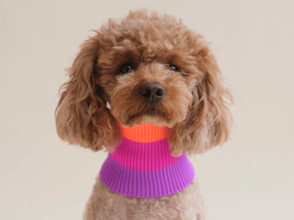 Glow Loop Neon Hundeschal – Electric Sunset (Lila/Orange)