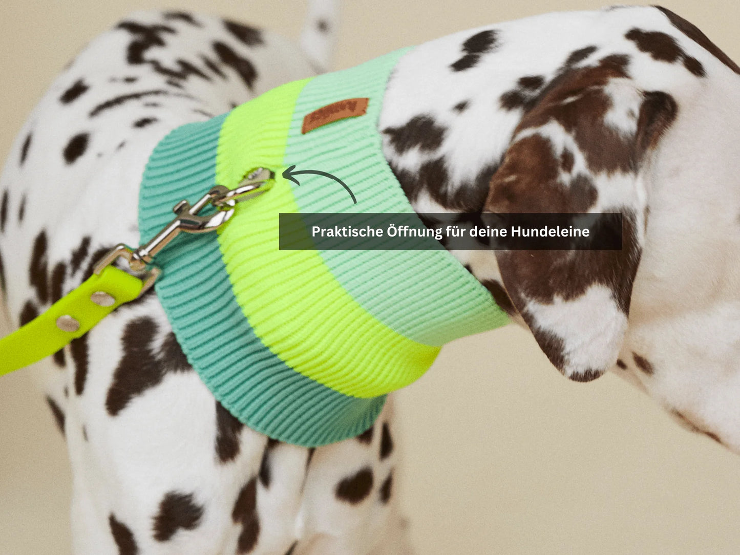 Glow Loop Neon Hundeschal – Electric Sunset (Lila/Orange)