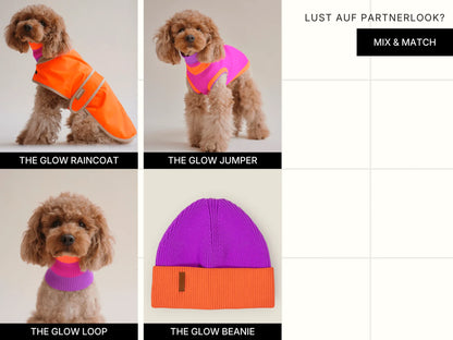 Glow Loop Neon Hundeschal – Electric Sunset (Lila/Orange)