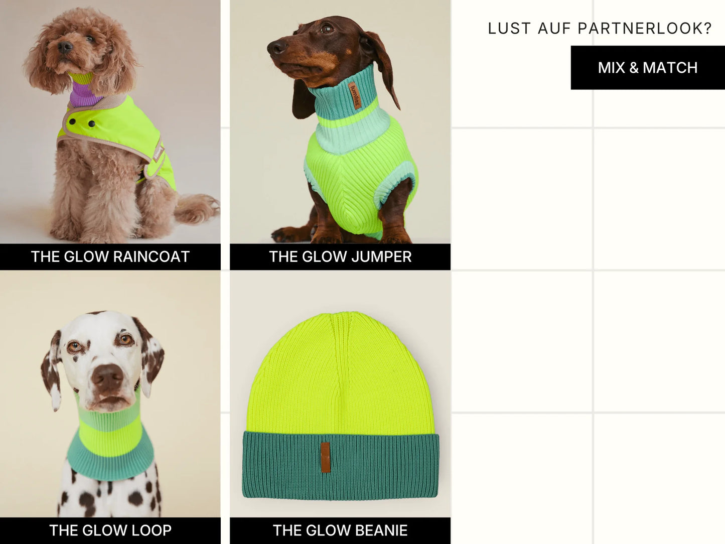 Glow Loop Neon Hundeschal – Neon Matcha (Türkis/Grün)