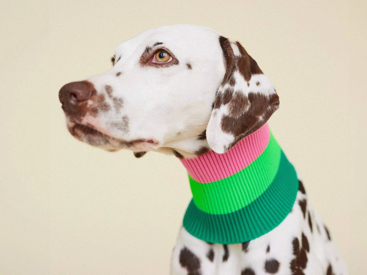 Glow Loop Neon Hundeschal – Watermelon Crush (Grün/Pink)