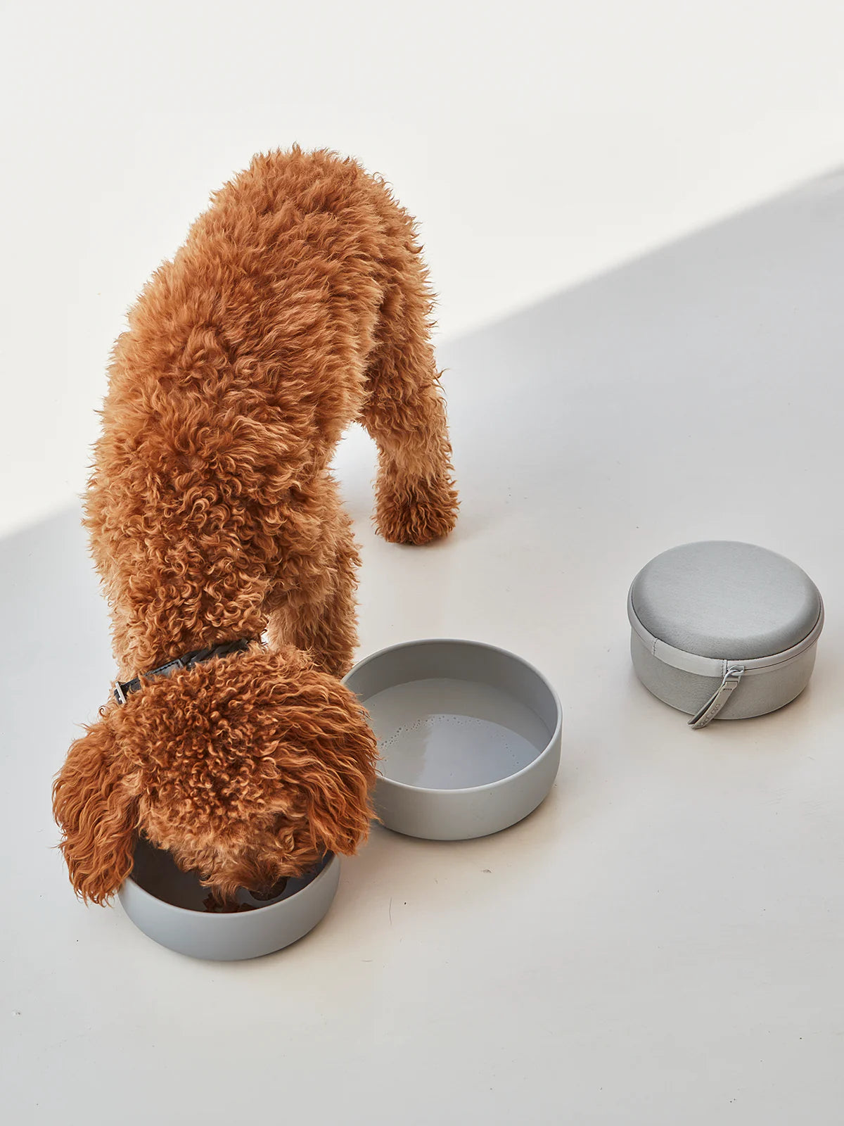 Bento Reisenapf & Futterbehälter 3-in-1 – Farbe Beton/Schiefer
