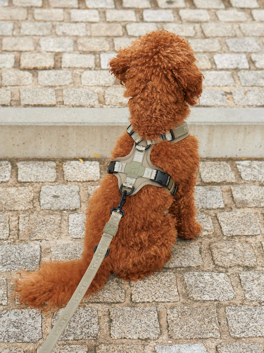 Modena Ergonomisches Hundegeschirr – Farbe Greige