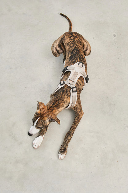 Modena Ergonomisches Hundegeschirr – Farbe Greige