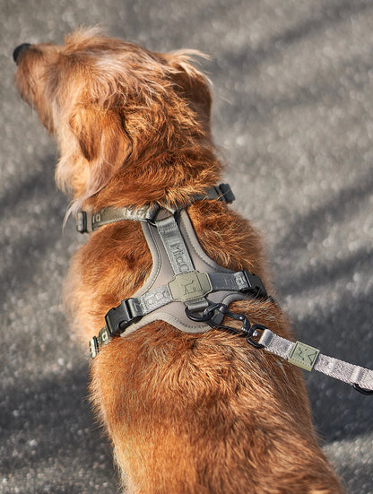 Modena Ergonomisches Hundegeschirr – Farbe Grolive