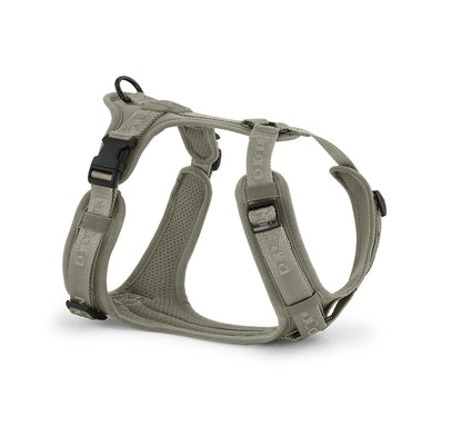 Modena Ergonomisches Hundegeschirr – Farbe Grolive