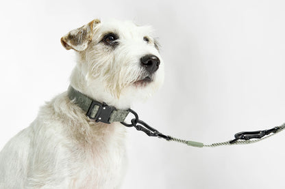 Modena Leichtes Hundehalsband – Farbe Grolive