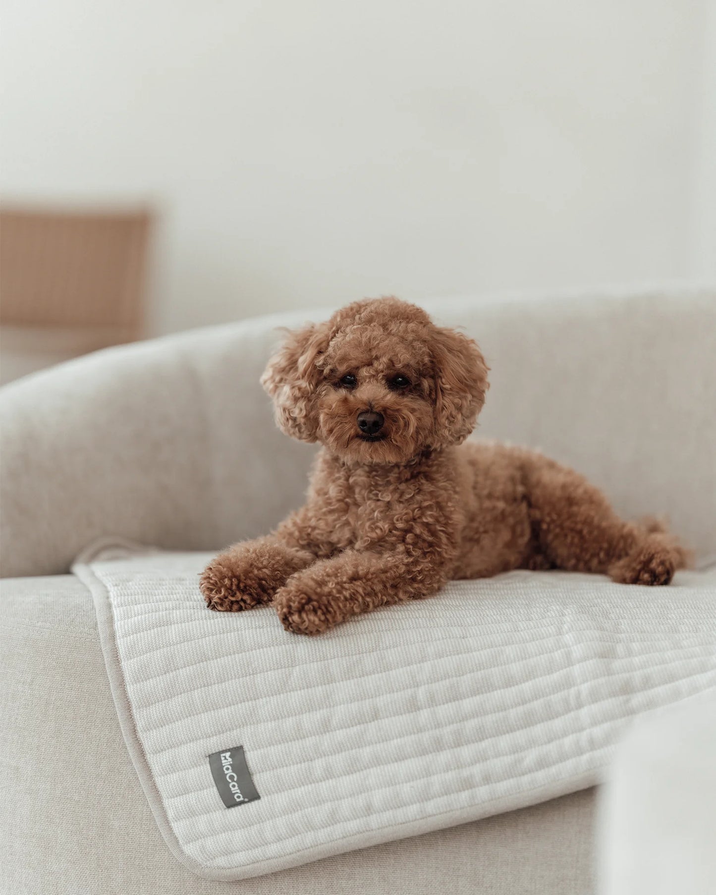 Onda Strickdecke für Hunde – Farbe Kiesel