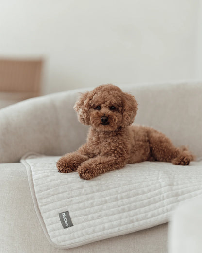 Onda Strickdecke für Hunde – Farbe Kiesel