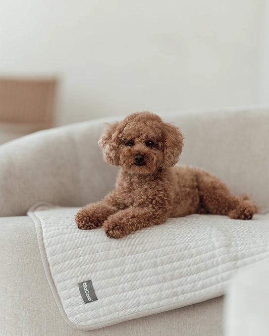 Onda Strickdecke für Hunde – Farbe Kiesel