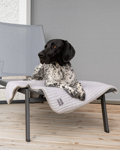 Onda Strickdecke für Hunde – Farbe Kiesel