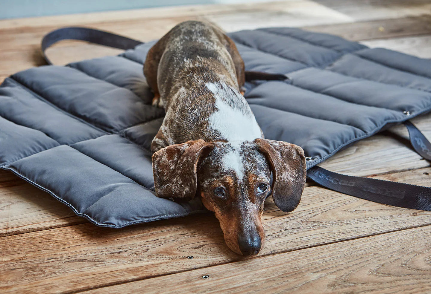 Strada Hunde Travel Bed – Farbe Asphalt