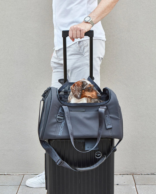 Volata Hundereisetasche – Farbe Asphalt