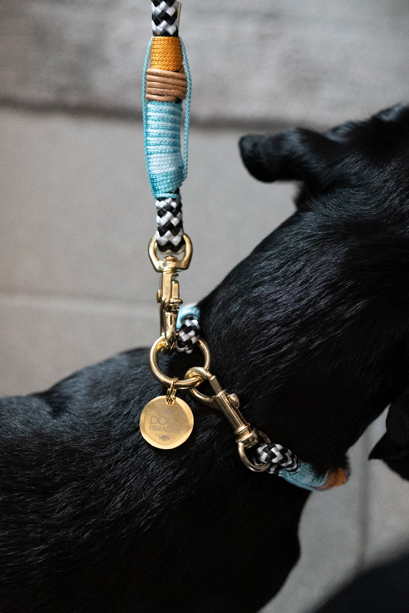 Signature Collection Tau Halsband - "Malibu" in Gold oder Silber