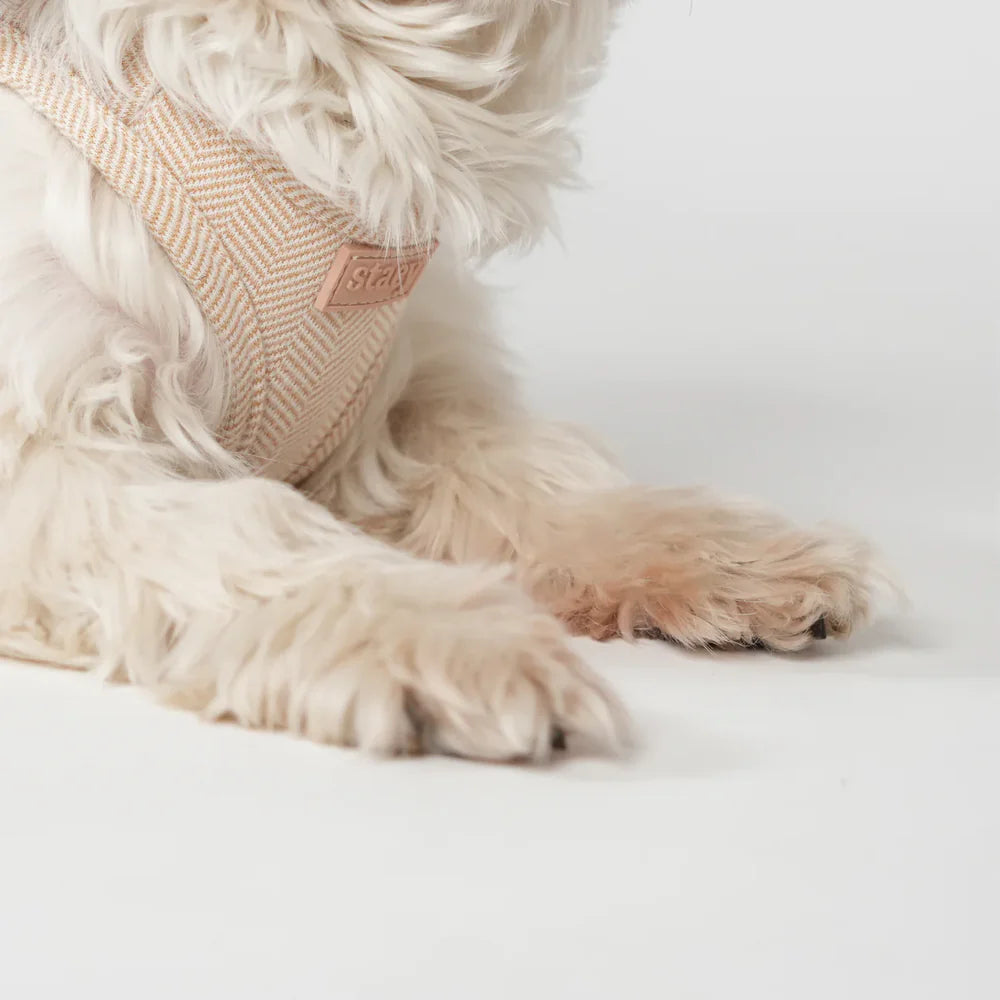 Saga Step-In Hundegeschirr – Farbe Light Rose