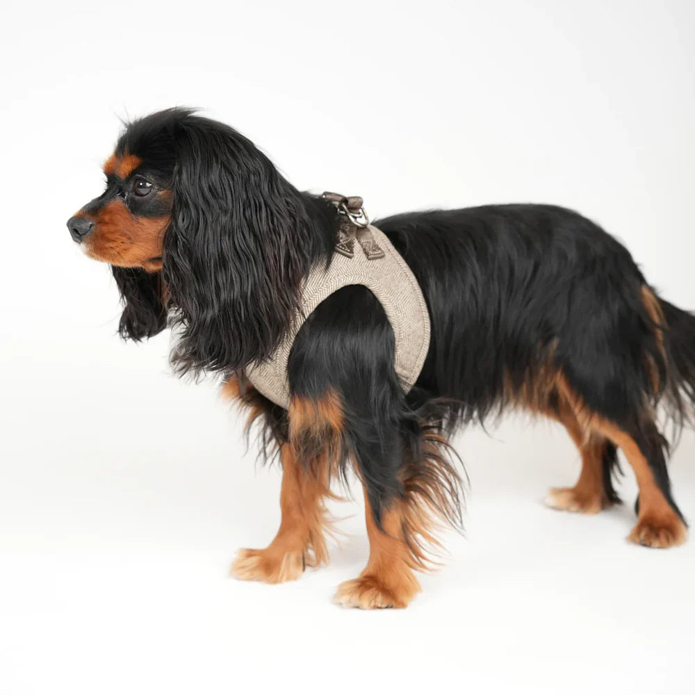 Saga Step-In Hundegeschirr – Farbe Mocca
