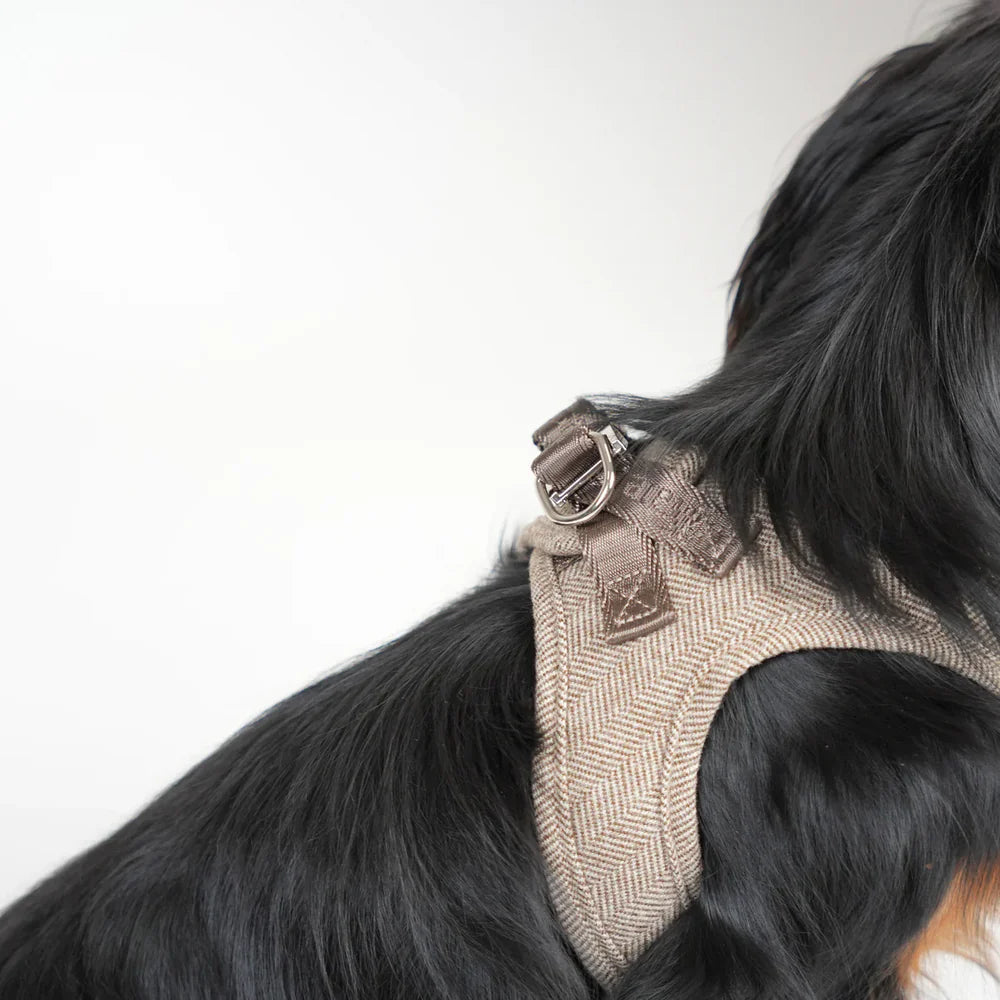 Saga Step-In Hundegeschirr – Farbe Mocca