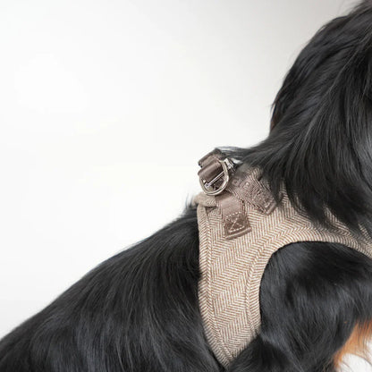 Saga Step-In Hundegeschirr – Farbe Mocca