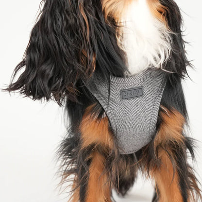 Saga Step-In Hundegeschirr – Farbe Dusty Blue