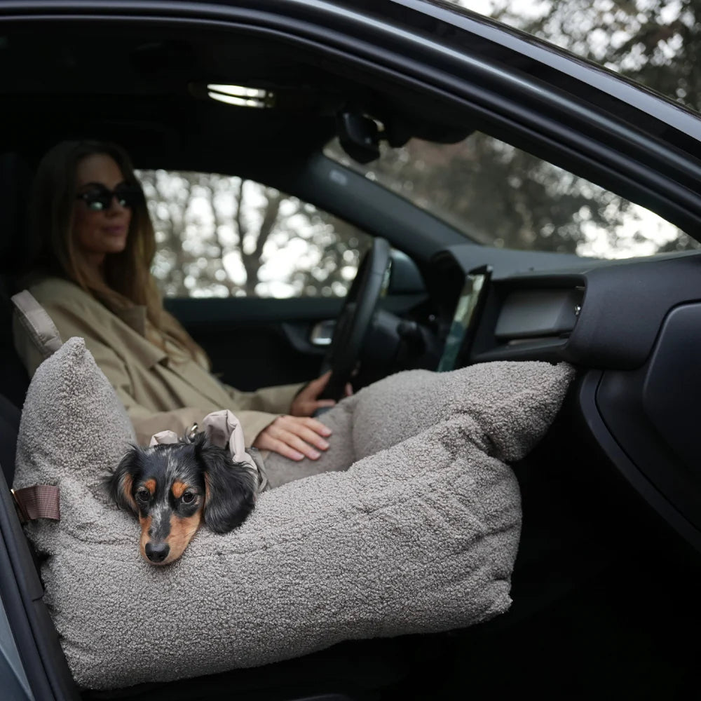 Lara 3-in-1 Hundeautositz – Teddy 2.0