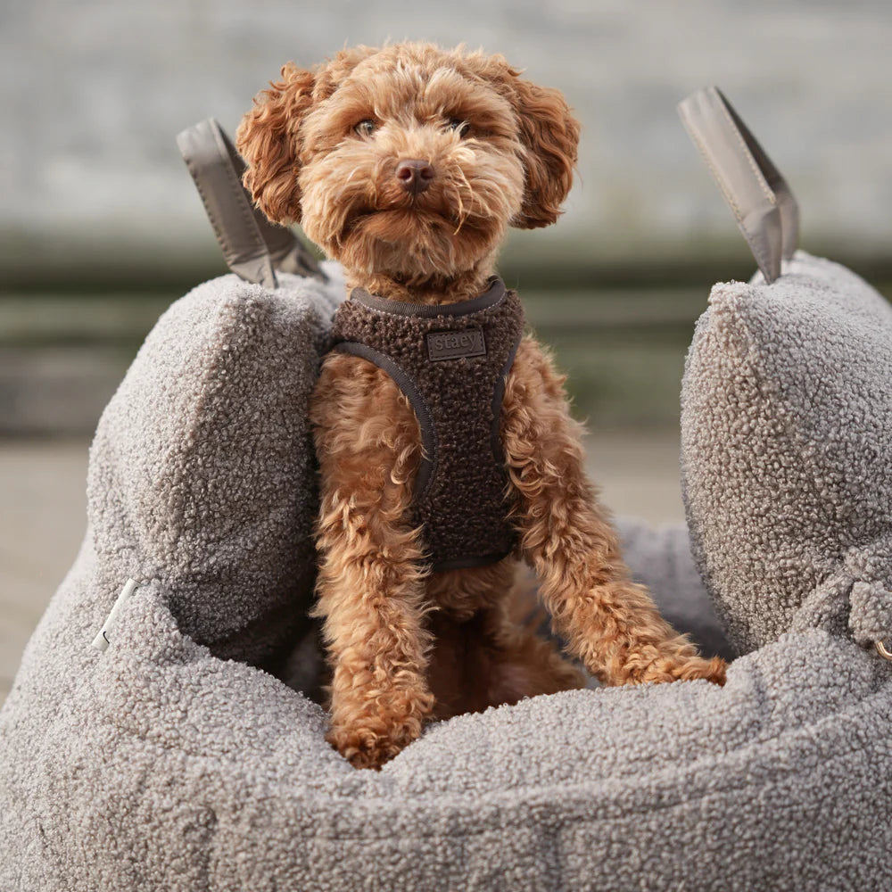 Lara 3-in-1 Hundeautositz – Teddy 2.0