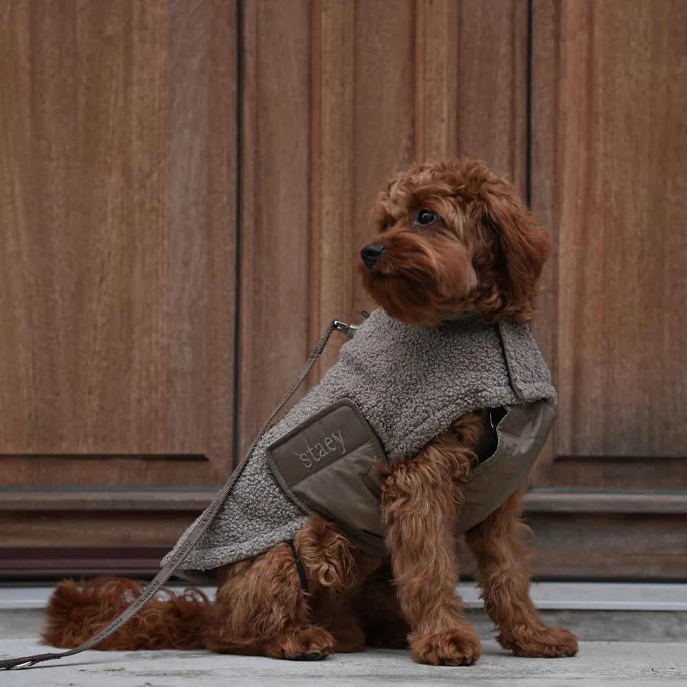 Teddy Hundemantel – Farbe Taupe