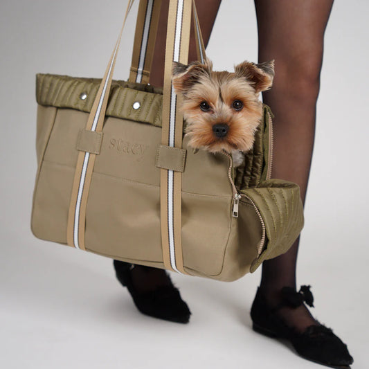 Lily Hundetasche aus Baumwoll-Canvas