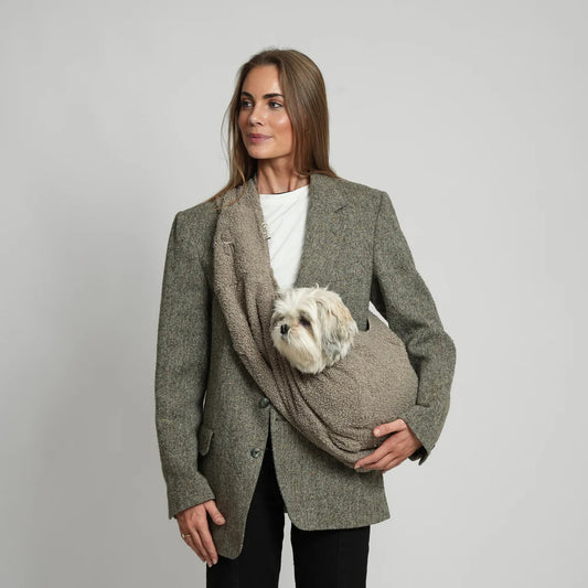 Ava Welpentragetasche – Teddy